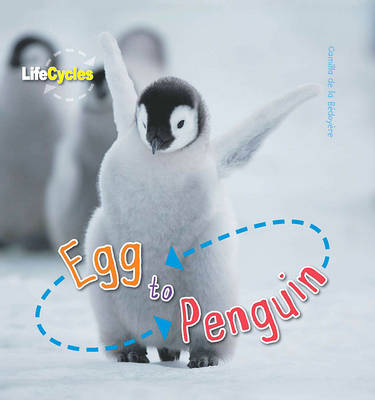 Egg to Penguin - de le Bdoyre, Camilla