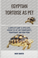 Egyptian Tortoise as Pet: A Complete Guide to Their Care, Habitat Set-Up, Diet Requirements, Maintenance, and Many More
