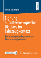 Eignung Autostereoskopischer Displays Im Fahrzeugkontext: Betrachtungen Zur Ergonomie Und Wahrnehmungsleistung