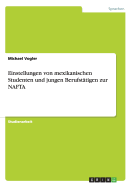 Einstellungen Von Mexikanischen Studenten Und Jungen Berufstatigen Zur NAFTA