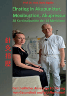 Einstieg in Akupunktur, Moxibustion, Akupressur: 28 Kardinalpunkte der 14 Meridiane