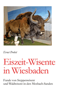 Eiszeit-Wisente in Wiesbaden: Funde von Steppenwisent und Waldwisent in den Mosbach-Sanden