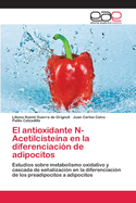 El Antioxidante N-Acetilcisteina En La Diferenciacion de Adipocitos