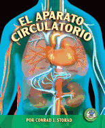 El Aparato Circulatorio (the Circulatory System)