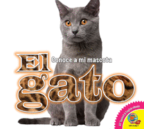 El Gato