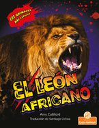 El Le?n Africano (African Lion)