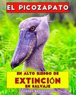 El picozapato: En alto riesgo de extinci?n en salvaje