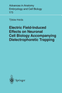 Electric Field-Induced Effects on Neuronal Cell Biology Accompanying Dielectrophoretic Trapping