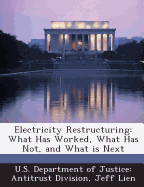 Electricity Restructuring: What Has Worked, What Has Not, and What Is Next