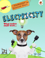 Electricity: What Makes Stuff Work?