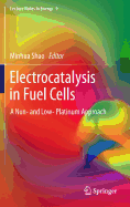 Electrocatalysis in Fuel Cells: A Non- and Low- Platinum Approach