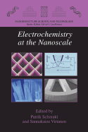 Electrochemistry at the Nanoscale