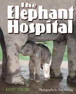 Elephant Hospital