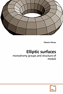 Elliptic Surfaces