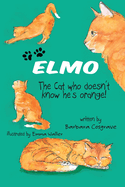 Elmo the Cat Who Doesn't Know He's Orange