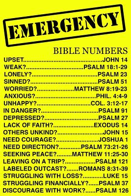 Emergency Bible Numbers: Bible Notebook Journal For Your Every Day Struggles. 120 Blank Pages To Take Notes - David, Matthew