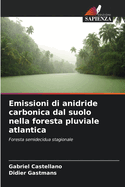 Emissioni di anidride carbonica dal suolo nella foresta pluviale atlantica