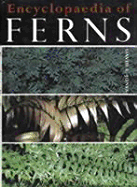 Encyclopaedia of Ferns: Their Structure, Biology, Importance, Cultivation and Propagation - Jones, David L.