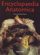 Encyclopedia Anatomica: Museo La Specola Florence - Von During, Monika, and Poggesi, Marta, and Didi-Huberman, Georges, Professor