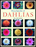 Encyclopedia of Dahlias - McClaren, Bill