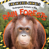 Endangered Animals in the Rain Forests