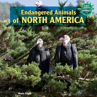 Endangered Animals of North America - Allgor, Marie