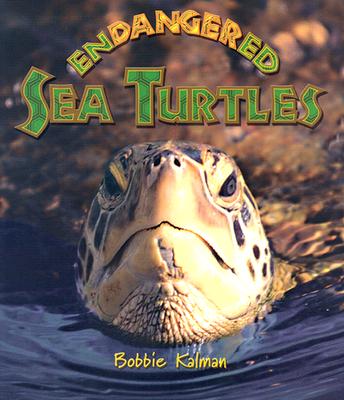Endangered Sea Turtles - Kalman, Bobbie