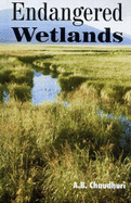 Endangered Wetlands
