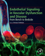 Endothelial Signaling in Vascular Dysfunction and Disease: From Bench to Bedside