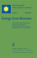 Energy from Biomass: Proceedings of the Workshop on Biomass Pilot Projects on Methanol Production and Algae, Held in Brussels, 22 October 1981