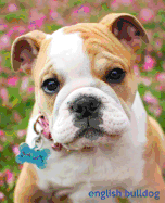 English Bulldog: A Gift Journal for People who Love Dogs: English Bulldog Puppy Edition