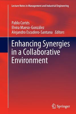 Enhancing Synergies in a Collaborative Environment - Corts, Pablo (Editor), and Maeso-Gonzlez, Elvira (Editor), and Escudero-Santana, Alejandro (Editor)