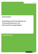 Entstehung Und Vermeidung Von Feinstaubemissionen Bei Biomassefeuerungsanlagen