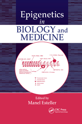 Epigenetics in Biology and Medicine - Esteller, Manel (Editor)