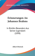 Erinnerungen an Johannes Brahms: In Briefen Besonders Aus Seiner Jugendzeit (1898)