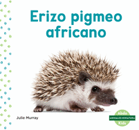 Erizo Pigmeo Africano (African Pygmy Hedgehog)