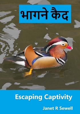 Escaping Captivity: A Simple Guide to Becoming Whole in Christ - Sewell, Janet R, and Sewell, Nathan R (Editor)
