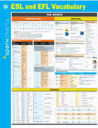 ESL and EFL Vocabulary SparkCharts