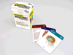 Essential Anatomy Flashcards - Review, Princeton