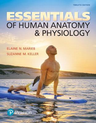 Essentials of Human Anatomy & Physiology Plus Mastering A&p with Pearson Etext -- Access Card Package - Marieb, Elaine, and Keller, Suzanne