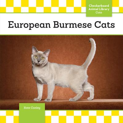 European Burmese Cats - Conley, Kate