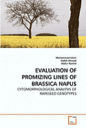 Evaluation of Promizing Lines of Brassica Napus