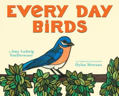 Every Day Birds - Vanderwater, Amy Ludwig