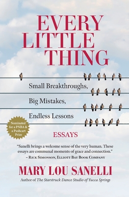 Every Little Thing: Small Breakthroughs, Big Mistakes, Endless Lessons - Sanelli, Mary Lou