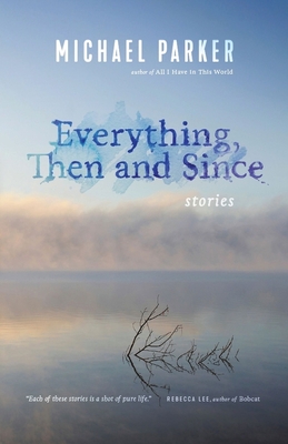 Everything, Then and Since: Stories - Parker, Michael, Dr.