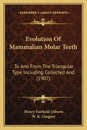 Evolution Of Mammalian Molar Teeth: To And From The Triangular Type Including Collected And (1907)