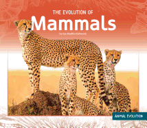 Evolution of Mammals