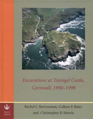 Excavations at Tintagel Castle, Cornwall, 1990-1999 - Barrowman, Rachel C, and Batey, Colleen E, and Morris, Christopher D