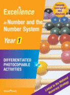 Excellence Number and the Number System: Year 1