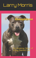 Exceptional: An Amazing Story of a Dog Named Salli